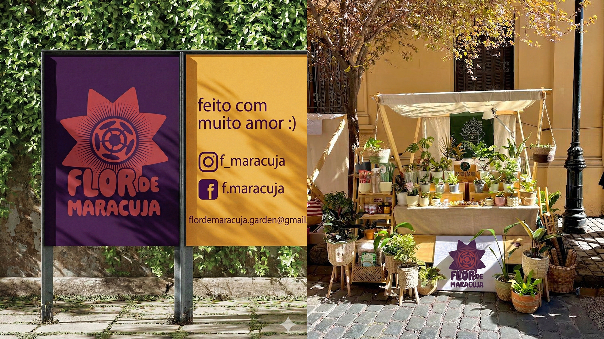 Apresentação Flor de Maracujá: images-05.png