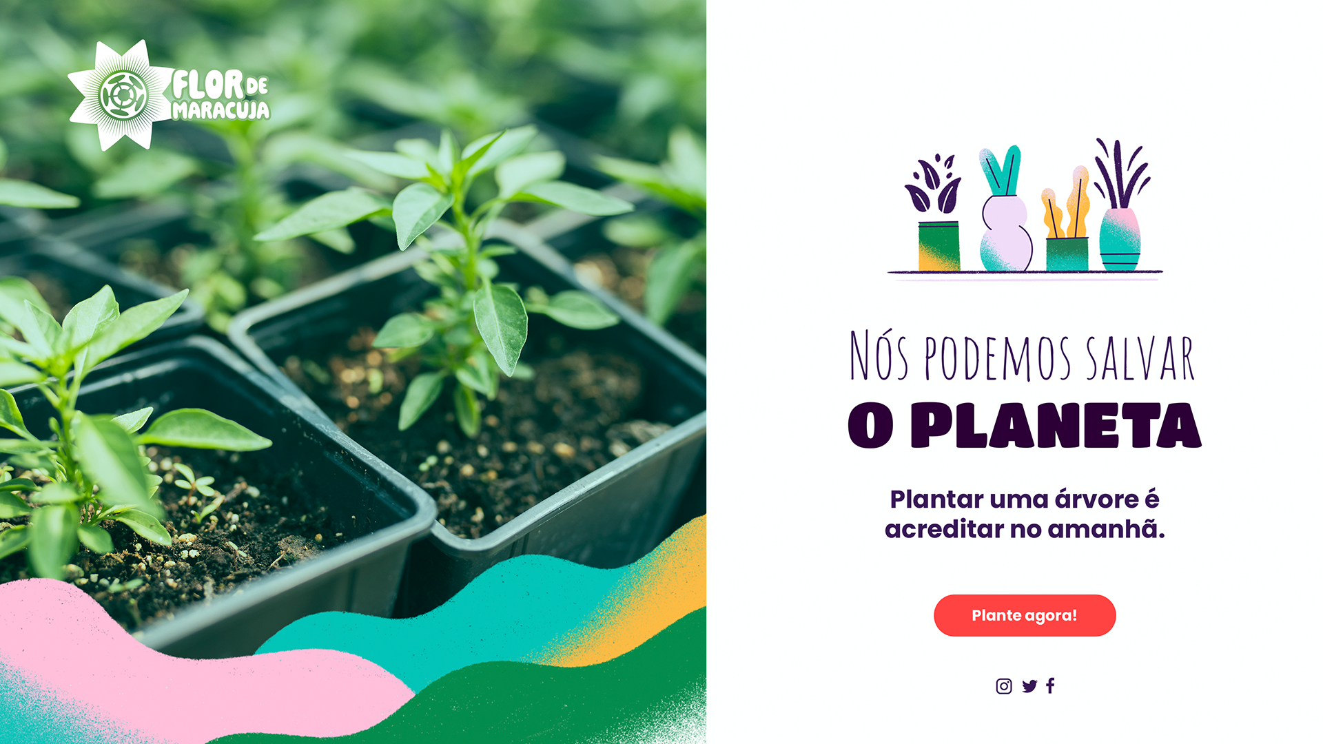 Apresentação Flor de Maracujá: images-08.png