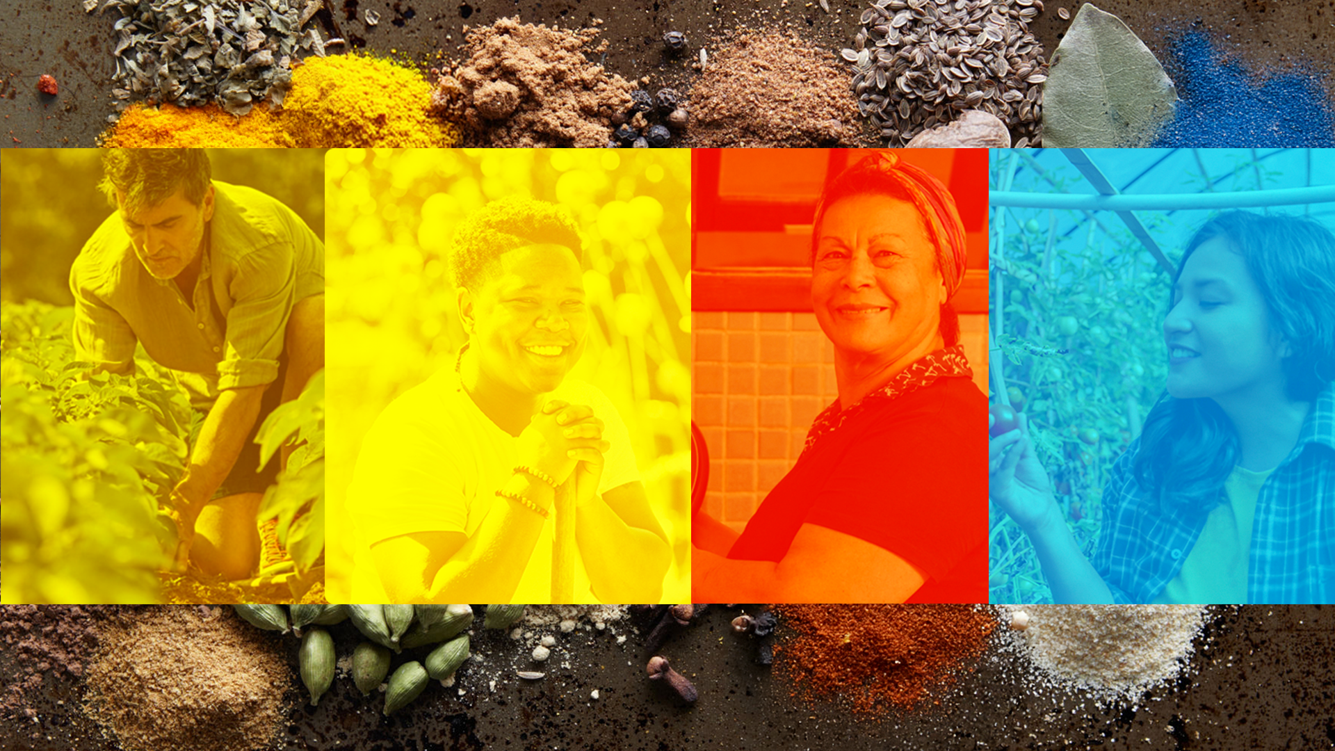 Apresentação Pimenta Coragem: images-10.png